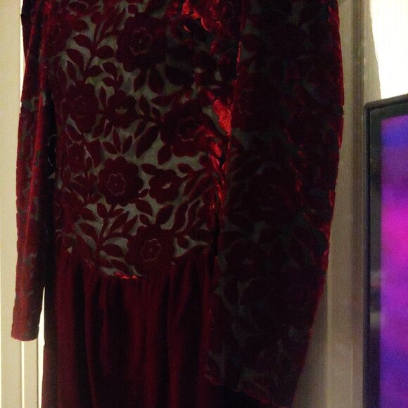 Cachet by Bari Protas Deep Burgundy Burnout Velvet Vintage Maxi Dress  13/14 - Picture 8 of 15